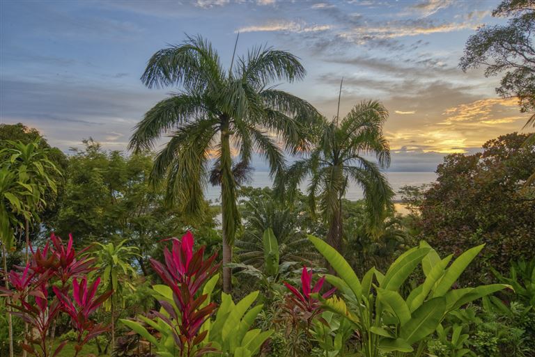Geheimnisvolles Costa Rica: Dschungel und Meer ©Bkamprath/istock